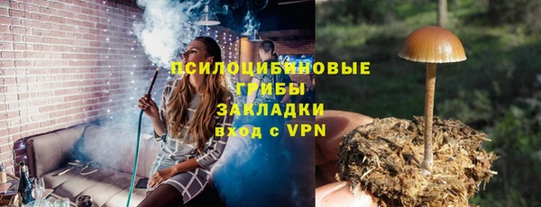 крисы Вязьма