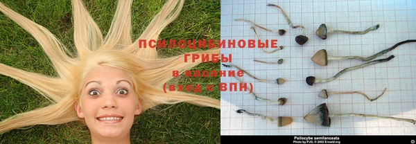 MDMA Premium VHQ Красавино