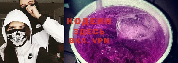 мдпв Вяземский