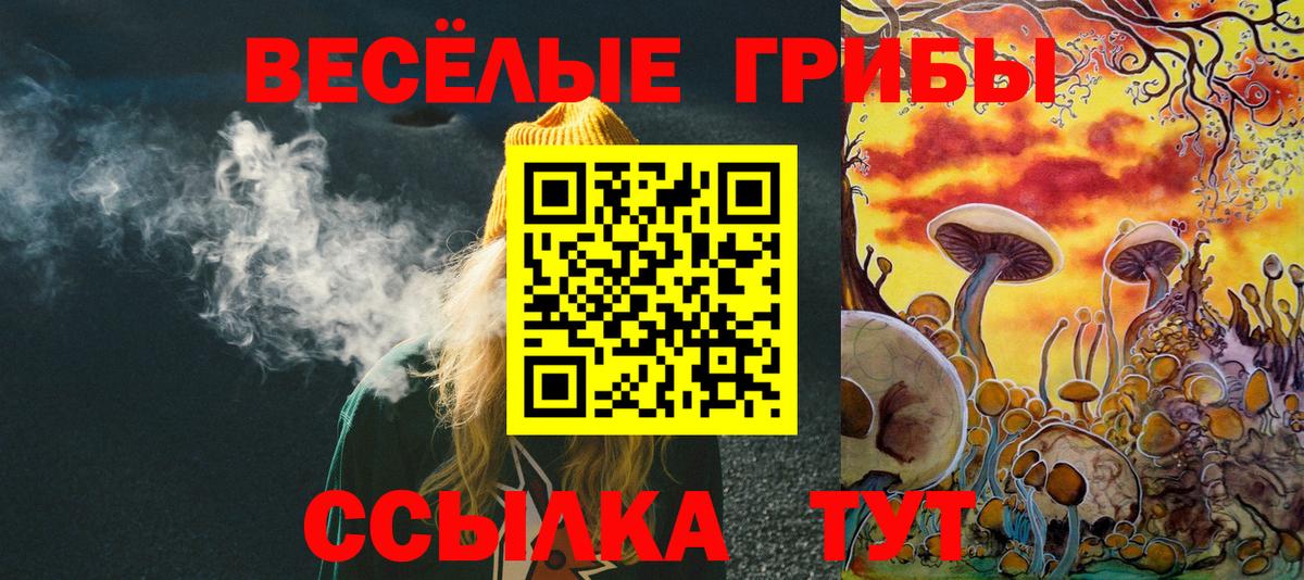 Галлюциногенные грибы Cubensis Тосно