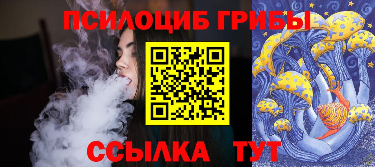 Галлюциногенные грибы прущие грибы  Вход с VPN  Тосно 