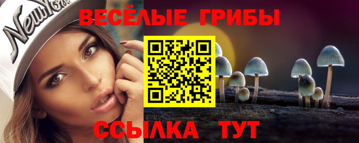 Галлюциногенные грибы прущие грибы  Тосно 
